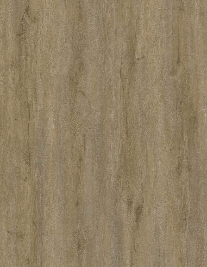 Screenshot 2025-01-09 at 11.48.15 PM.png