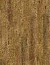 V1-SPC-U-00011